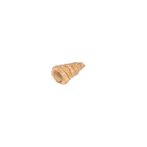 Cannoli sfoglia conici mignon 65 mm