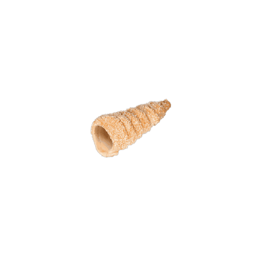 Cannoli sfoglia conici grandi 130 mm